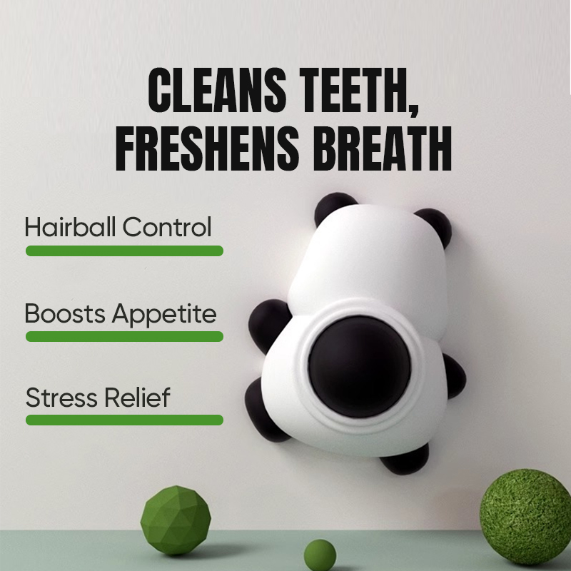 Cats Refillable Toy Teeth Grinding Tool Cat Mint Toys